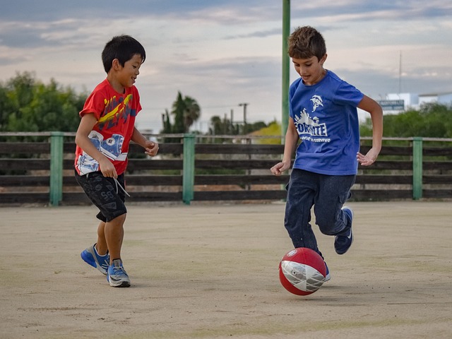 毋庸置疑 毋庸置疑